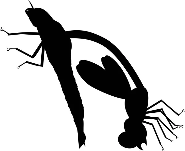 成年蜻蜓在早期蜕皮阶段的黑色剪影 — 图库矢量图片