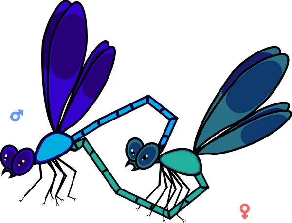 在白色背景上交配的蜻蜓夫妇 — 图库矢量图片