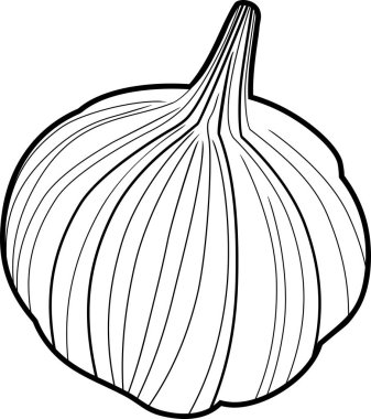 beyaz zemin üzerine sarımsak ampul