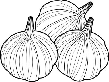 Grup beyaz zemin üzerine sarımsak ampuller