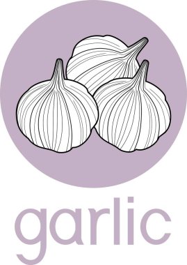 Grup beyaz sarımsak ampuller ile başlık