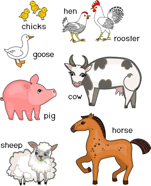 Conjunto Diferentes Animales Granja Dibujos Animados Con Títulos Sobre Fondo — Vector de stock