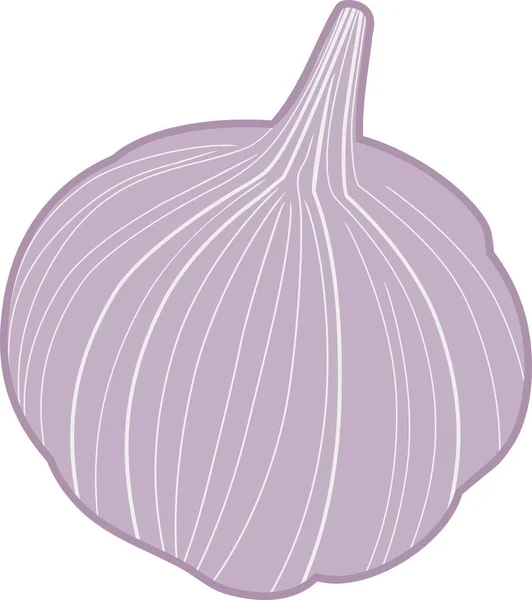 白色背景紫色大蒜灯泡 — 图库矢量图片