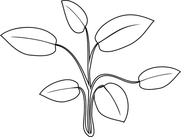 Розмальовка Сторінка Абстрактна Водна Рослина Листям — стоковий вектор