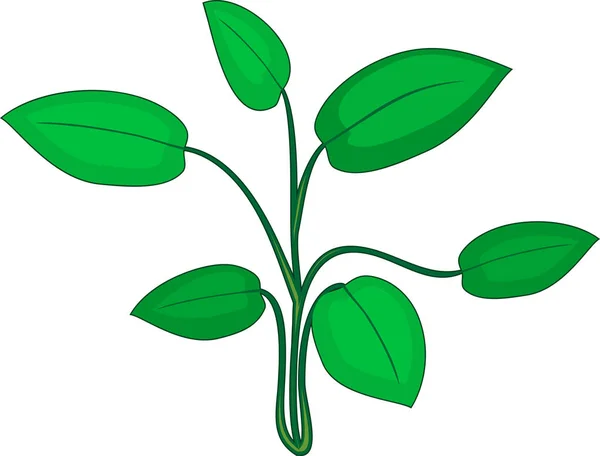 Beyaz Zemin Üzerine Yeşil Yaprakları Ile Soyut Tesisi — Stok Vektör