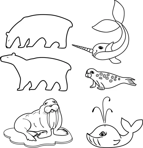 Coloriage Ensemble Différents Animaux Dessin Animé Faune Polaire — Image vectorielle