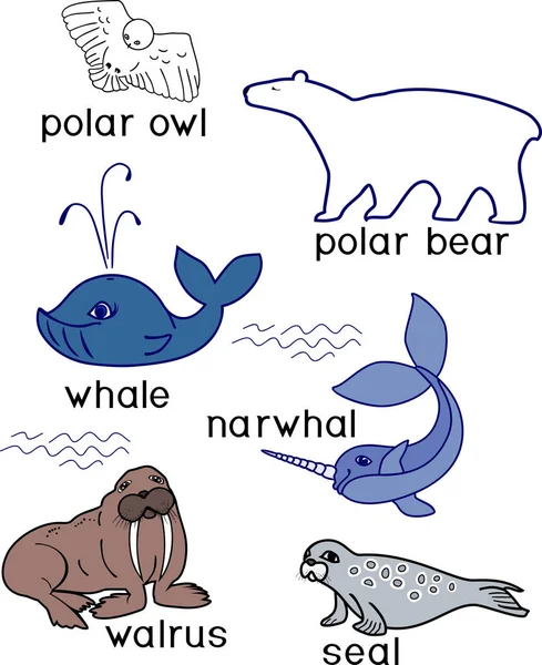 Başlıkları Ile Beyaz Arka Plan Üzerinde Kutup Fauna Farklı Çizgi — Stok Vektör