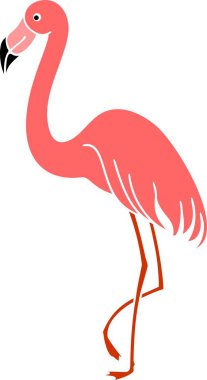 Pembe flamingo beyaz arka plan üzerinde çizgi film