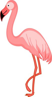 beyaz zemin üzerine pembe flamingo
