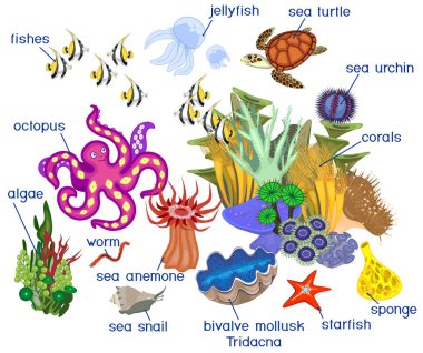 Başlıkları ile beyaz arka plan üzerinde izole farklı deniz nüfusu ile mercan resif ekosistem
