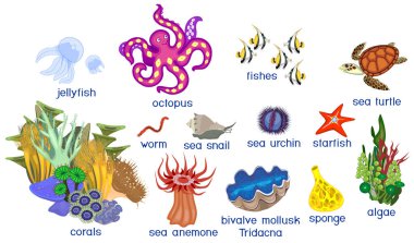 Farklı deniz sakinleri başlıkları ile beyaz arka plan üzerinde izole kümesi