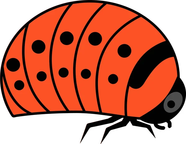 白い背景にコロラドハムシの赤い幼虫 — ストックベクタ