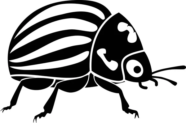 Escarabajo Colorado Adulto Sobre Fondo Blanco — Vector de stock