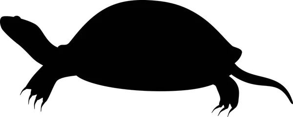 Silhouette Nera Della Tartaruga Stagno Europeo — Vettoriale Stock