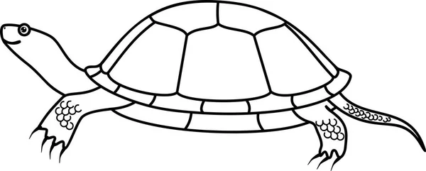 Tecknade Europeiska Damm Sköldpadda Färgning Sida — Stock vektor