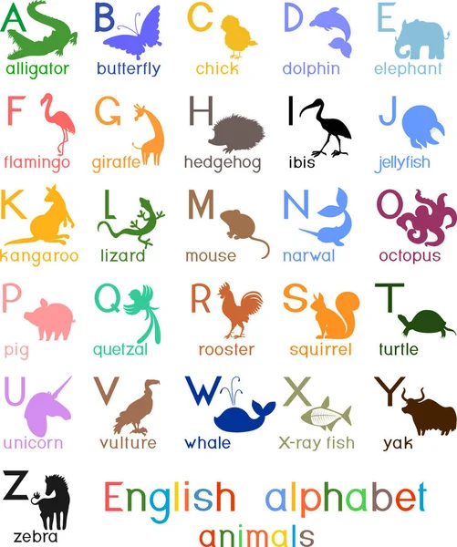 Englisches Alphabet Mit Farbigen Silhouetten Verschiedener Zeichentricktiere Und Titeln Für — Stockvektor
