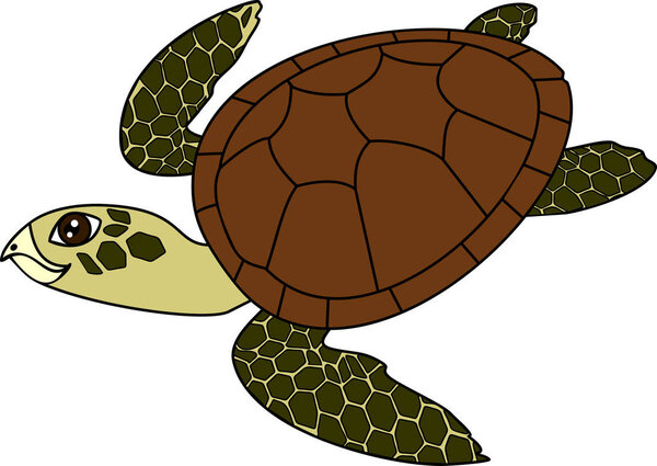 Adult cute cartoon swimming sea turtle on white background