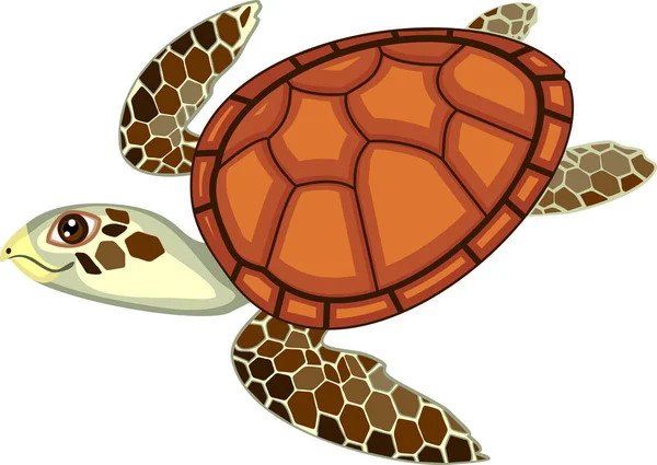 Adulto Lindo Dibujos Animados Natación Tortuga Marina Sobre Fondo Blanco — Vector de stock