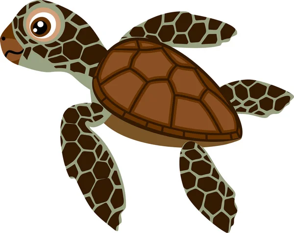 Lindo Dibujo Animado Eclosión Tortuga Marina Sobre Fondo Blanco — Vector de stock