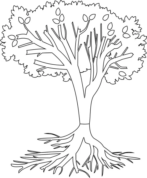 Раскрашивание Страницы Дерево Корневой Системой — стоковый вектор