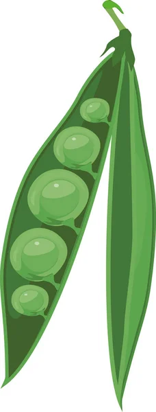 Geöffnete Erbsenschale Mit Grünen Samen Isoliert Auf Weißem Hintergrund — Stockvektor