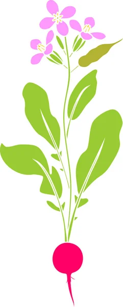 Silueta Planta Rábano Floreciente — Archivo Imágenes Vectoriales