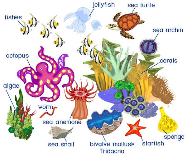 Ekosystem Korallrev Med Olika Marina Invånare Isolerad Vit Bakgrund Med — Stock vektor