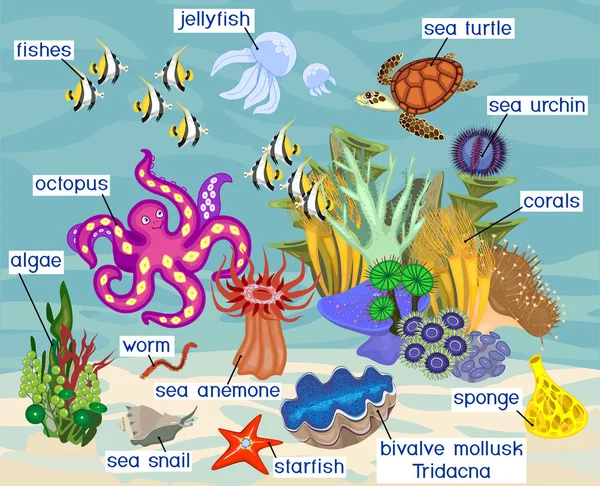 Ecosystem Coral Reef Different Marine Inhabitants Titles — Stock Vector