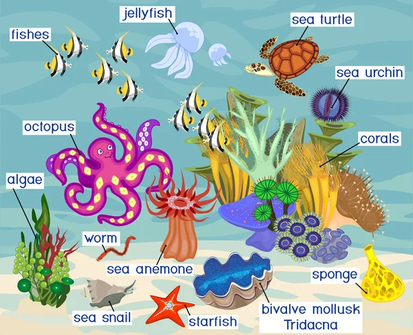 Ecosistema Arrecife Coral Con Diferentes Habitantes Marinos Con Títulos — Vector de stock