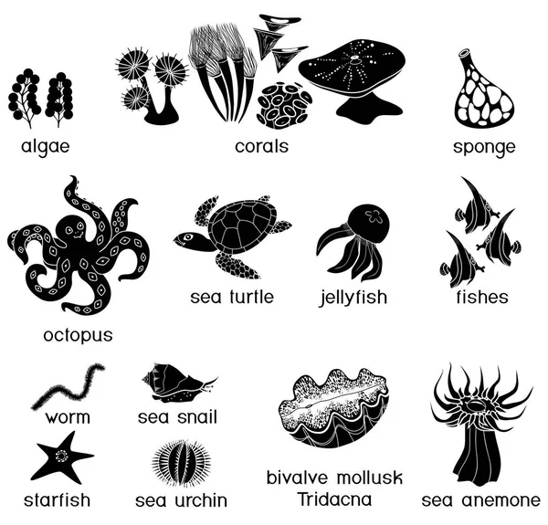 タイトル別の水中海洋動物の黒いシルエットのセットします — ストックベクタ