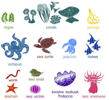 Siluetleri başlıkları ile farklı sualtı deniz hayvanların kümesi