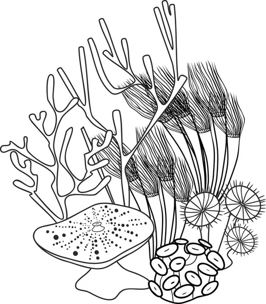 Coloring Page Group Various Corals — Stock Vector