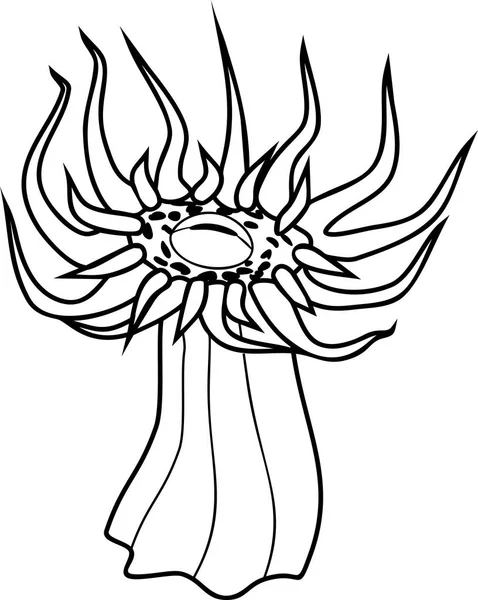 Sea Anemone Sharp Tentacles Coloring Page — Stock Vector