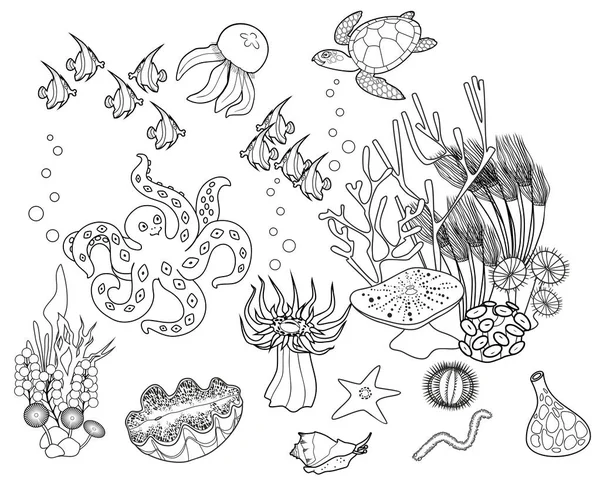 Coloring Page Ecosystem Coral Reef Different Marine Inhabitants — Stock Vector