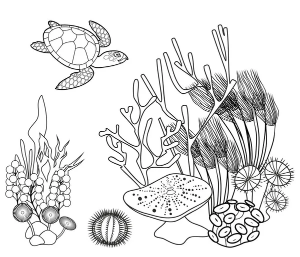 Coloriage Récif Corallien Avec Tortue Autres Animaux Marins — Image vectorielle