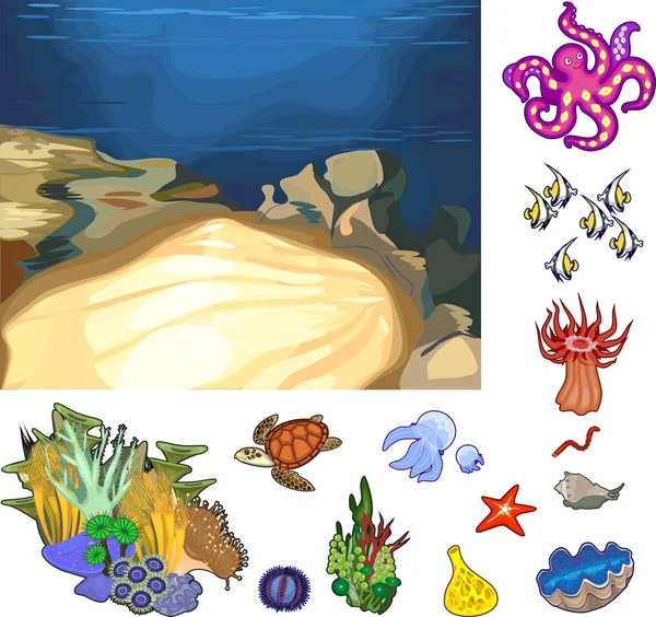 Образовательная Игра Сборка Экосистемы Кораллового Рифа Готовых Компонентов Виде Наклеек — стоковый вектор