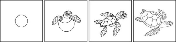 Malvorlagen Lebenszyklus Der Meeresschildkröte — Stockvektor