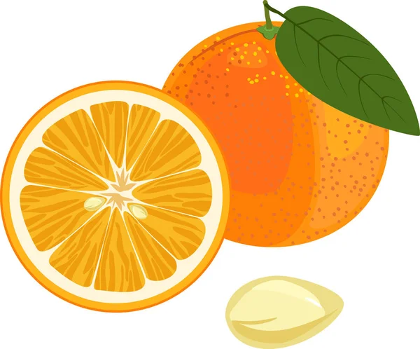 Reife Orange Mit Grünem Blatt Und Scheibe Auf Weißem Hintergrund — Stockvektor
