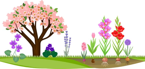 Jardín Con Árbol Con Flores Diferentes Plantas Flor — Archivo Imágenes Vectoriales