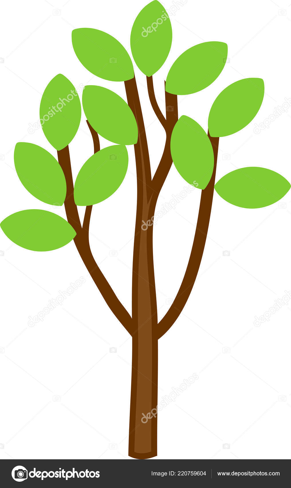 Young Cartoon Deciduous Tree Branched Crown Green Leaves Branches Isolated Vector Image By C Mariaflaya Vector Stock