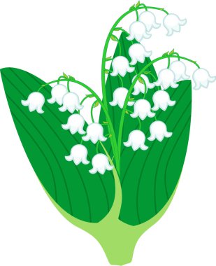 Beyaz çiçekler ve beyaz arka plan üzerinde izole iki yeşil yaprakları ile stilize Lily vadi veya Convallaria majalis