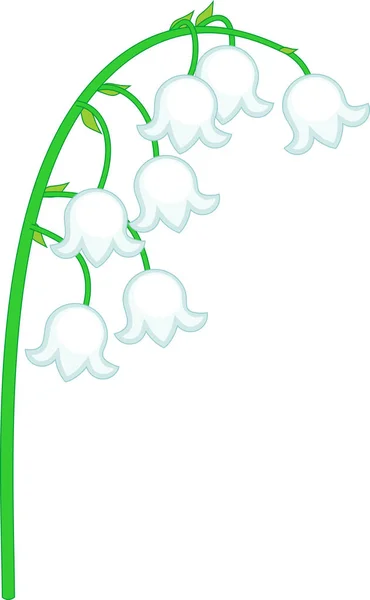 Lily Valley Bloeiwijze Met Witte Bloemen Geïsoleerd Witte Achtergrond — Stockvector