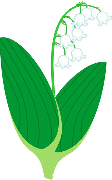 Stylizované Lilie Údolí Nebo Convallaria Majalis Bílými Květy Dva Zelené — Stockový vektor