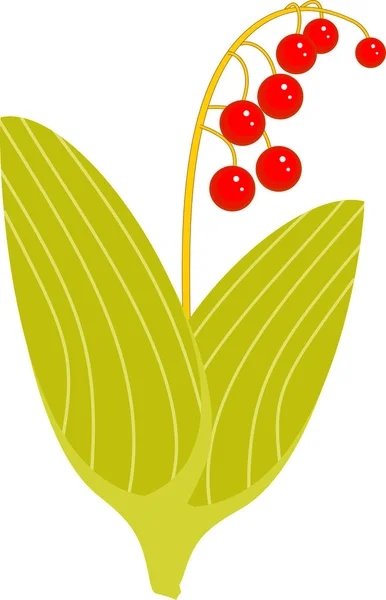 Gyöngyvirág Növény Megsárgult Levelek Piros Bogyós Gyümölcsök — Stock Vector