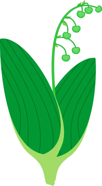 緑の葉と芽とスズランの様式化された植物 — ストックベクタ