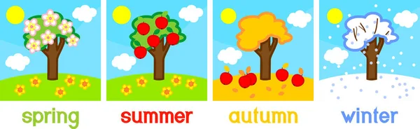 Four seasons apple tree. Life cycle of tree with titles