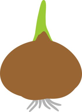 Yeşil filiz ve beyaz arka plan üzerinde izole kökleri ile kahverengi ampul silüeti