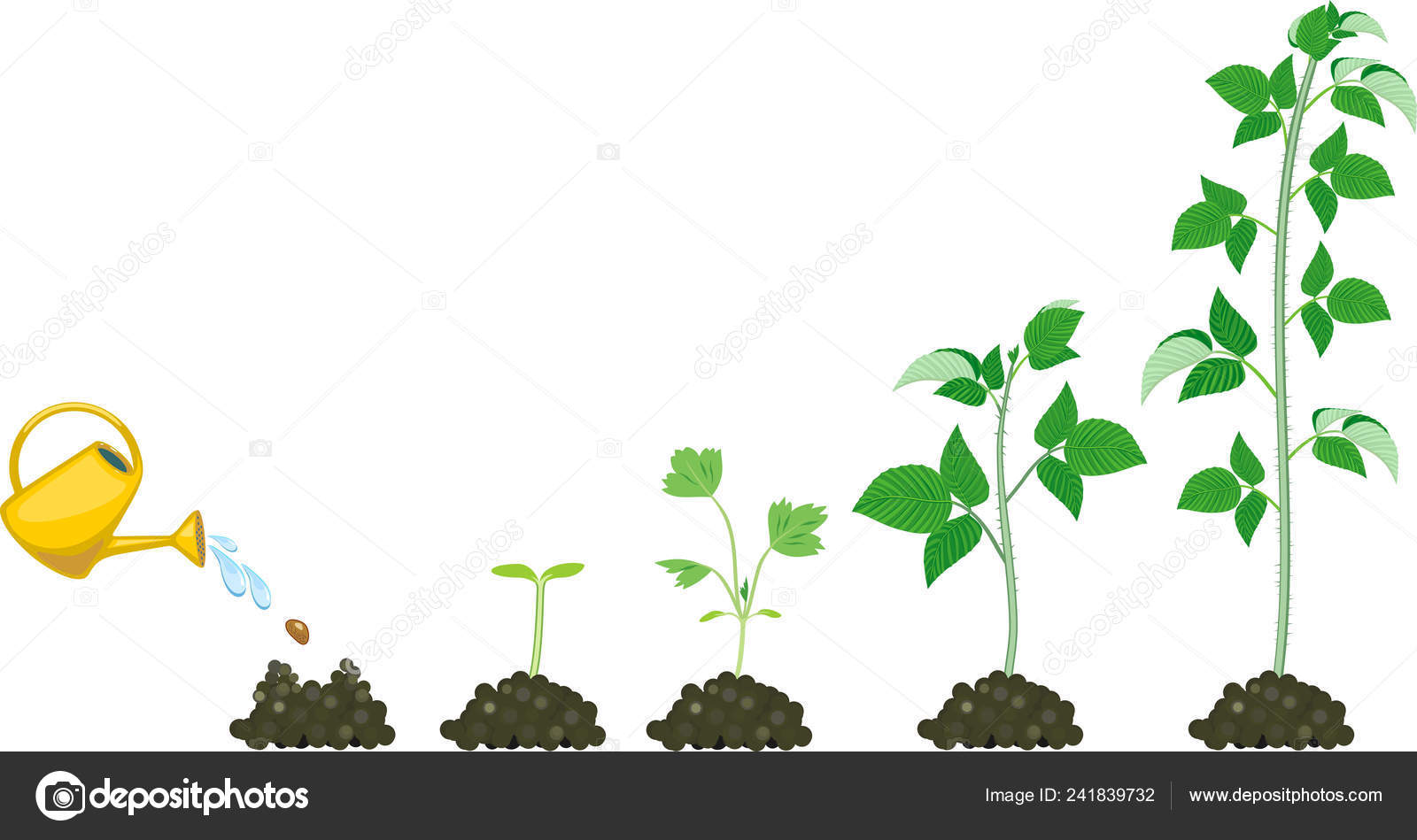 植物 成長 イラスト フリー 自宅イラスト