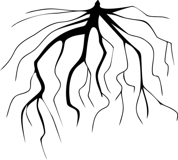 Silhouette Nera Stilizzata Del Sistema Radicale Fibroso — Vettoriale Stock