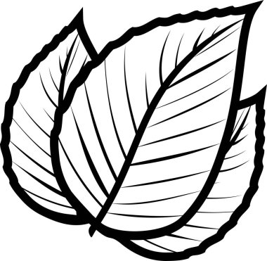 Bitkinin soyut basit yaprağı